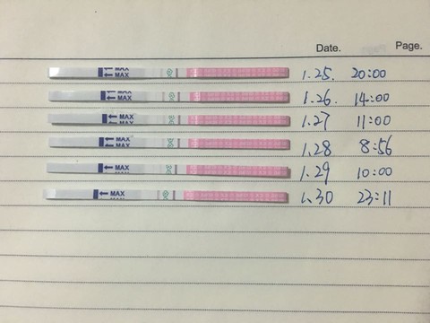 journal_insert_pic_397776033