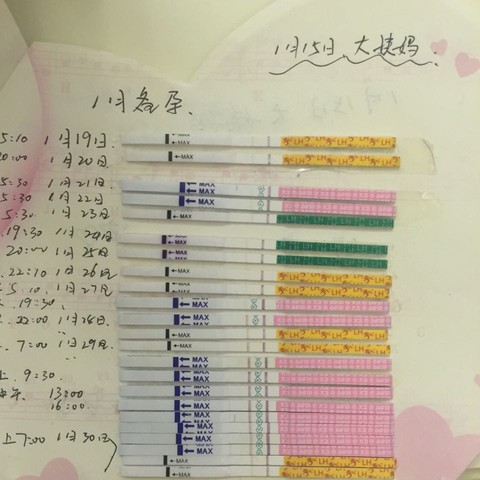 journal_insert_pic_398275074