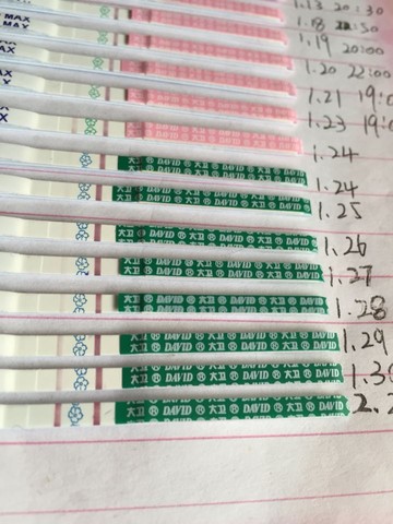 journal_insert_pic_398957177