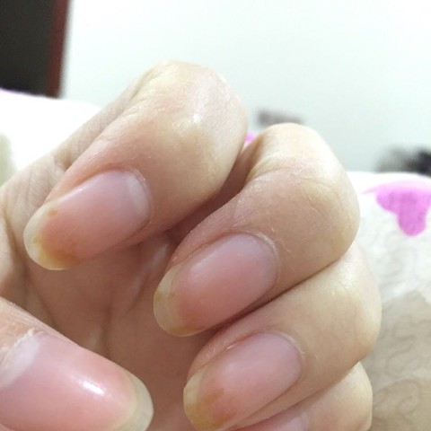 journal_insert_pic_399449872