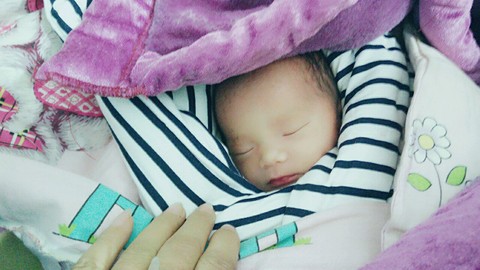 journal_insert_pic_399636229