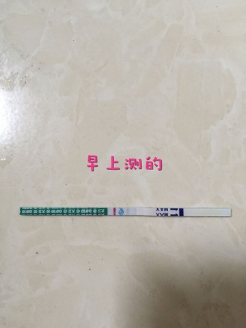 journal_insert_pic_400425038