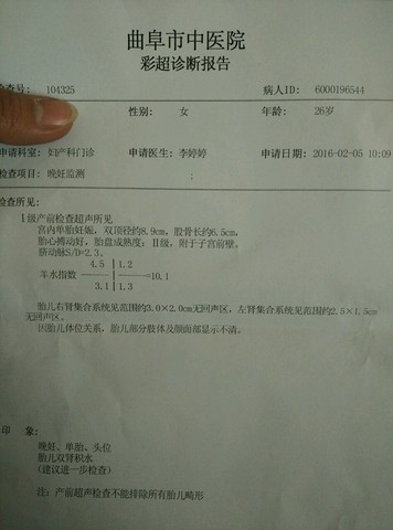 journal_insert_pic_401025921