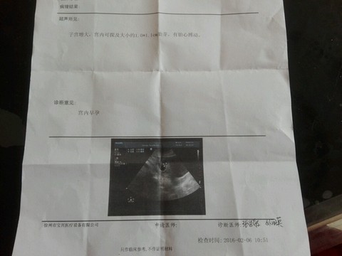 journal_insert_pic_401570645