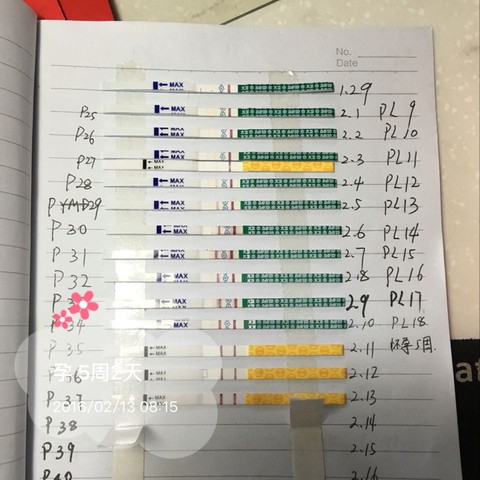 journal_insert_pic_404772126