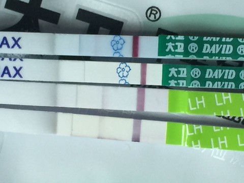 journal_insert_pic_405475735