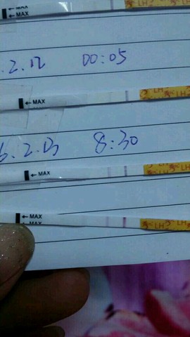 journal_insert_pic_405821210