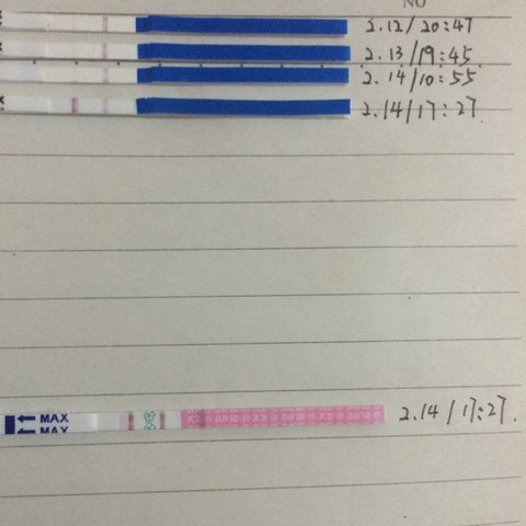 journal_insert_pic_405701507