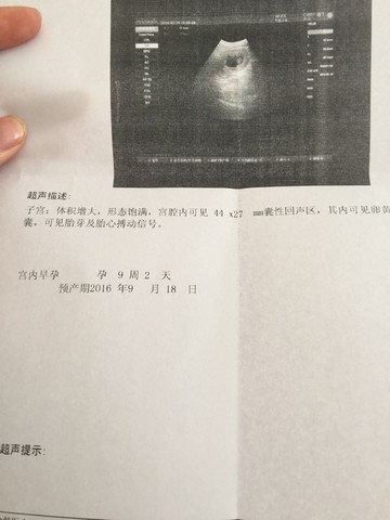 journal_insert_pic_406899425