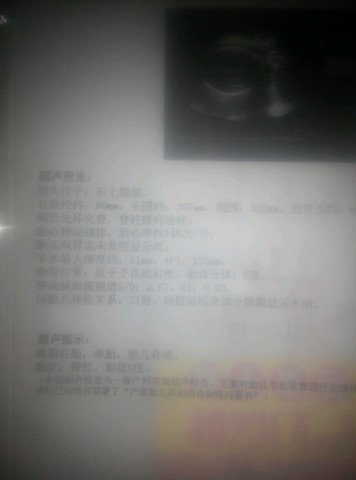 journal_insert_pic_407053773