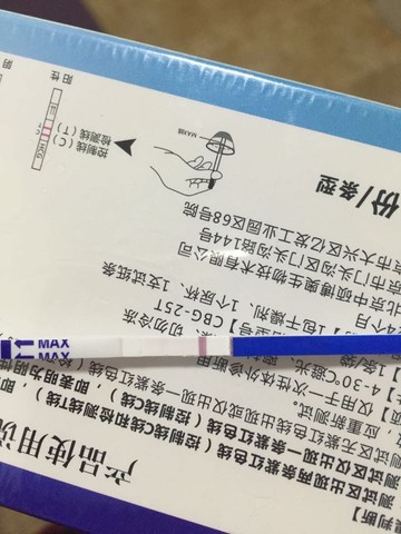journal_insert_pic_407099440