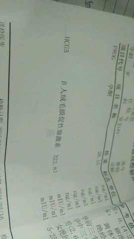 journal_insert_pic_406939038