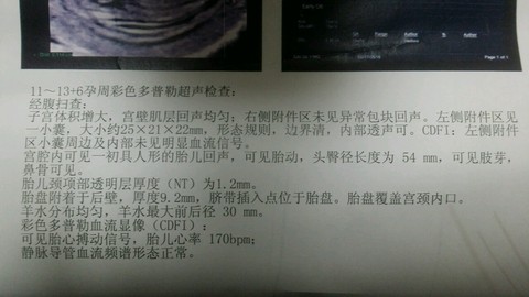 journal_insert_pic_407609301