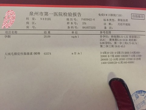 journal_insert_pic_407706735