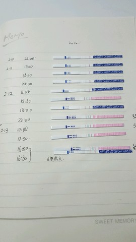 journal_insert_pic_407717345