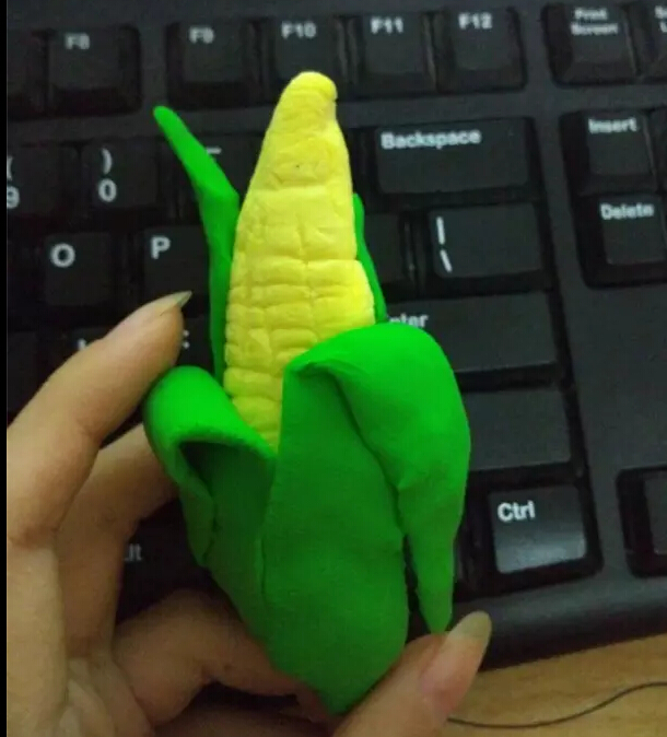 journal_insert_pic_408092614