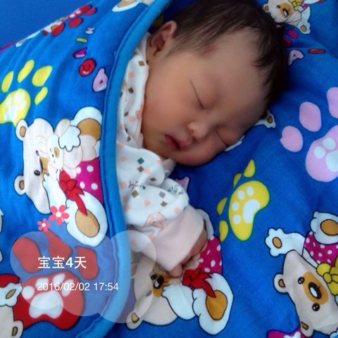 journal_insert_pic_408134249