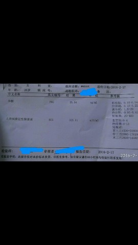 journal_insert_pic_408131762