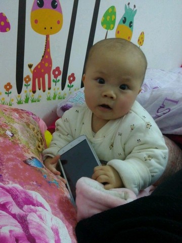 journal_insert_pic_408880107