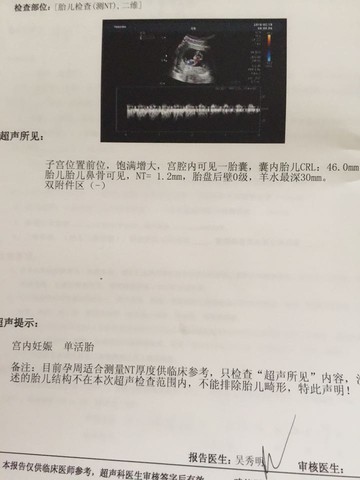 journal_insert_pic_408761856