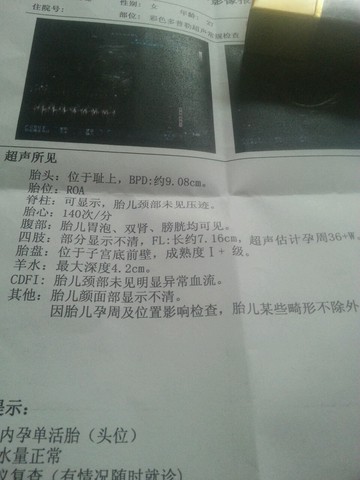 journal_insert_pic_408928527