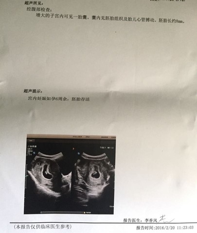 journal_insert_pic_409615190