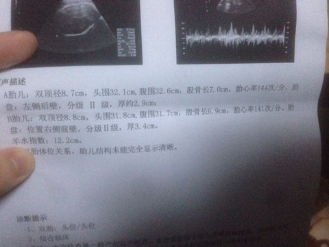 journal_insert_pic_410529029