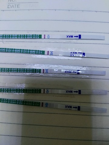 journal_insert_pic_411311707