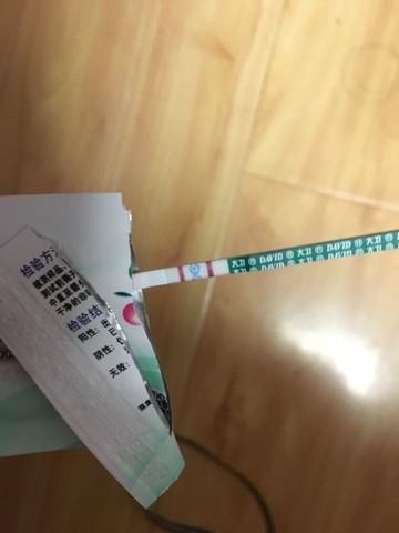 journal_insert_pic_412313611