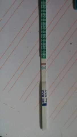 journal_insert_pic_412084769
