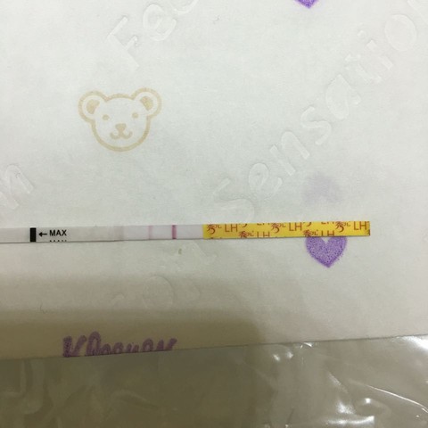 journal_insert_pic_413064233