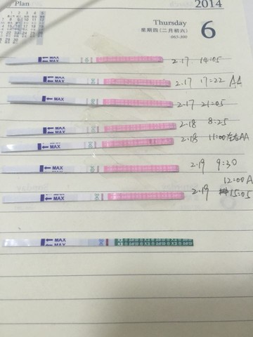 journal_insert_pic_415147170