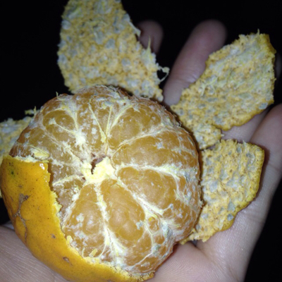 这橘子是不是发霉了,刚不小心吃了一个,不知道有没有事?