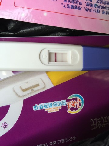 journal_insert_pic_417105530
