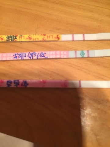 journal_insert_pic_417408810