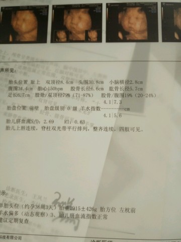 journal_insert_pic_417914384