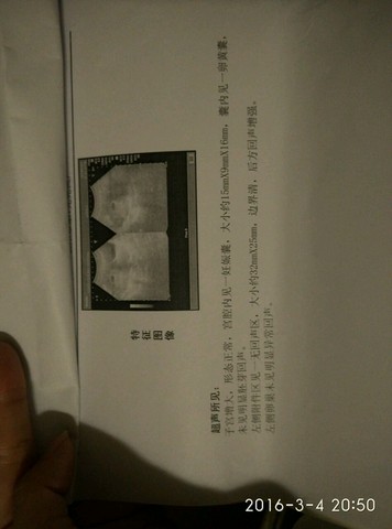 journal_insert_pic_418953034