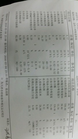 journal_insert_pic_419133082