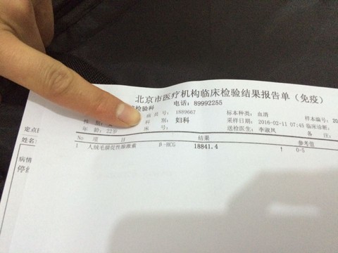 journal_insert_pic_420442109