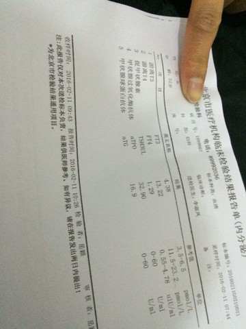journal_insert_pic_420442088