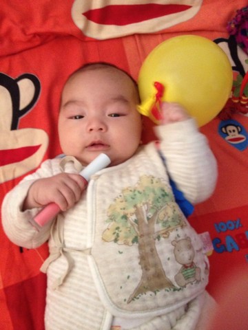 journal_insert_pic_420461675