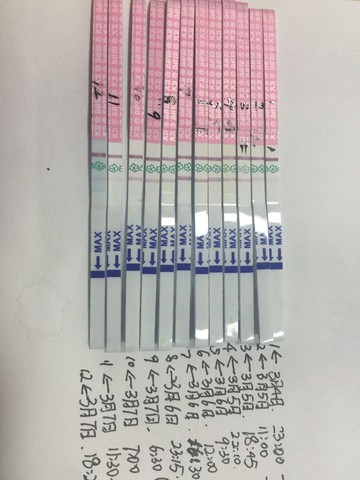 journal_insert_pic_421110843