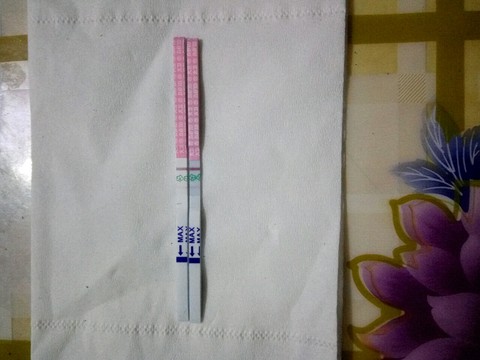 journal_insert_pic_421865385