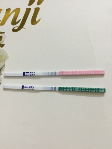 journal_insert_pic_424115660