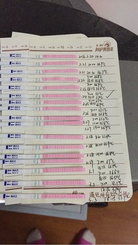journal_insert_pic_424654460