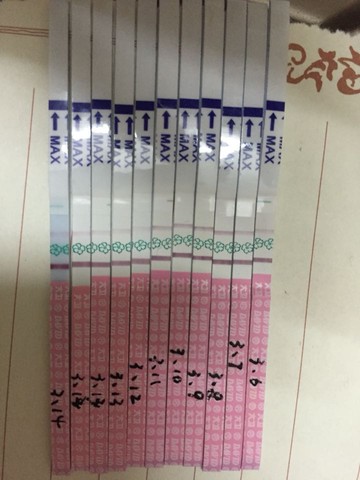 journal_insert_pic_426211738