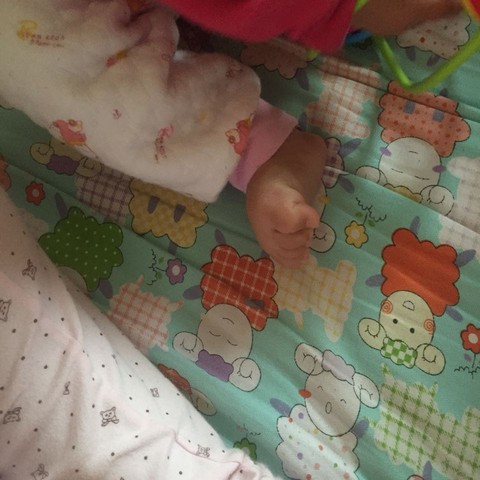 journal_insert_pic_426774982