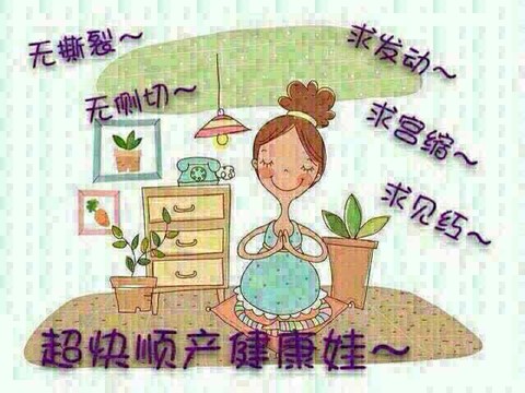 journal_insert_pic_426664360