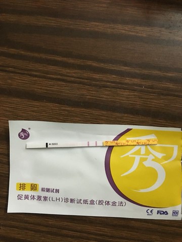 journal_insert_pic_427524964