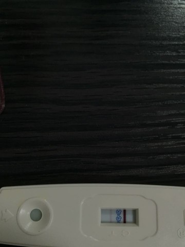 journal_insert_pic_427395440